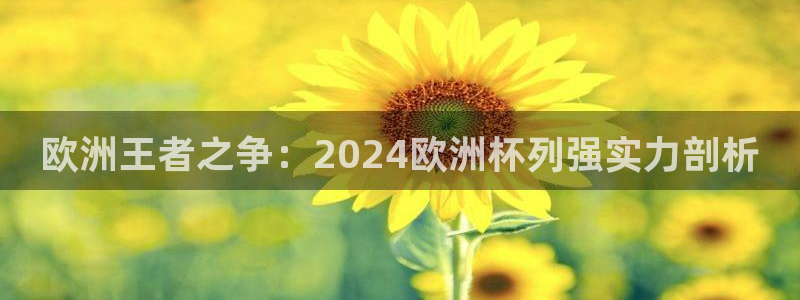 欧洲杯押注怎么买：欧洲王者之争：2024欧洲杯列强实力剖析