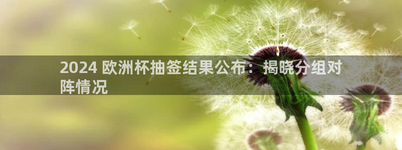 欧洲杯下单网址|2024 欧洲杯抽签结果公布：揭晓分组对
阵情况