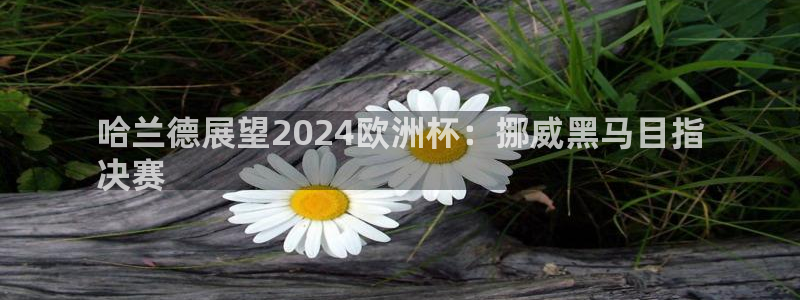 欧洲杯在哪个网站购买|哈兰德展望2024欧洲杯：挪威黑马目指
决赛