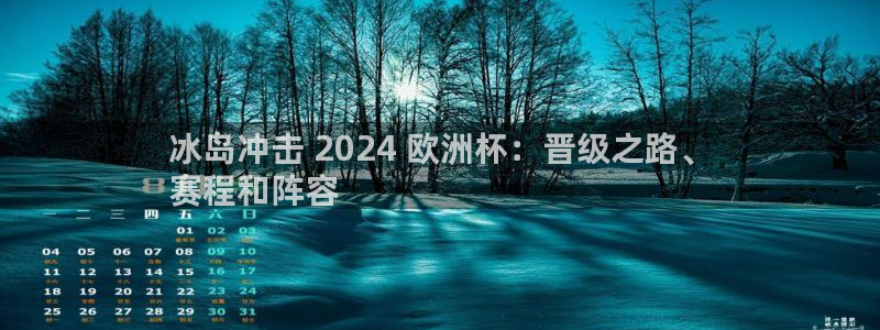 欧洲杯竞猜软件|冰岛冲击 2024 欧洲杯：晋级之路、
赛程和阵容