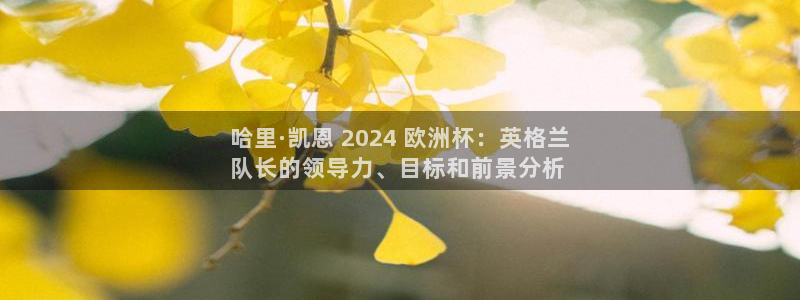 欧洲杯哪里买球靠谱|哈里·凯恩 2024 欧洲杯：英格兰
队长的领导力、目标和前景分析